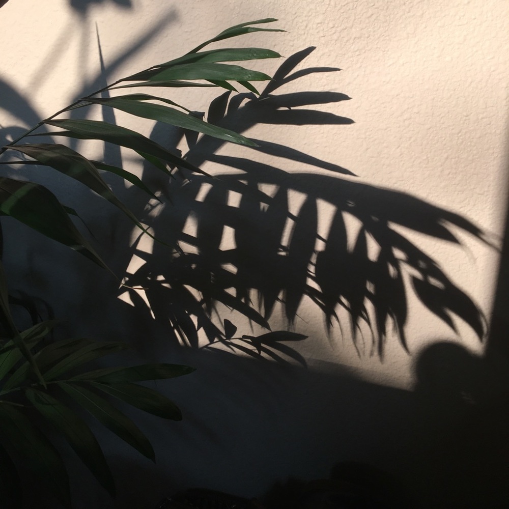 Meet your Posher, Satara